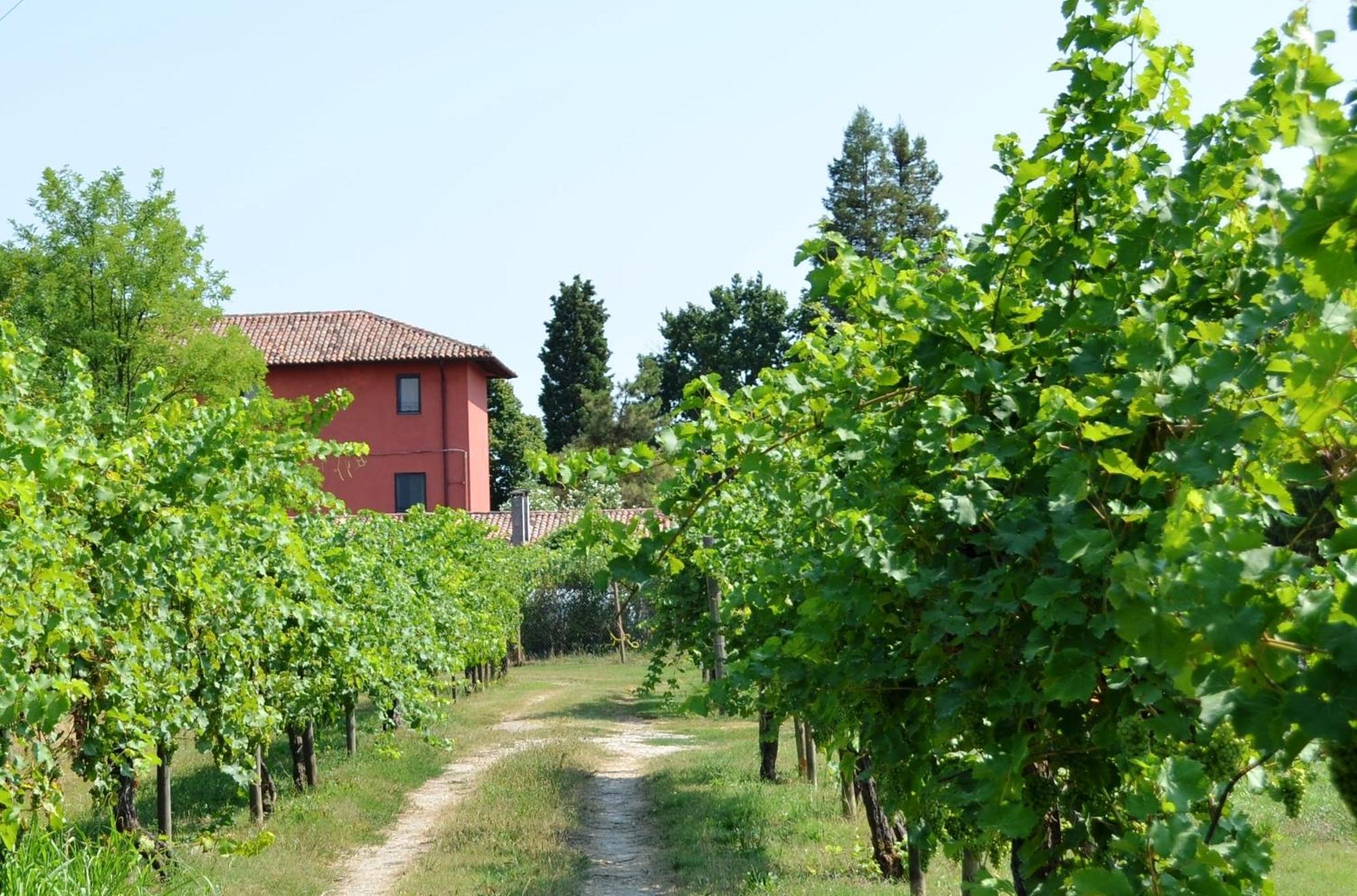 Agriturismo Isola Augusta Palazzolo dello Stella Exteriör bild